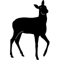 (image for) Deer 286 ~