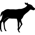 (image for) Deer 287 ~