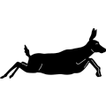 (image for) Deer 289 ~