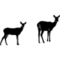 (image for) Deer 290 ! ~