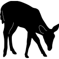 (image for) Deer 291 ~