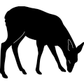 (image for) Deer 297 ~