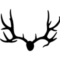 (image for) Deer Horns 296 _