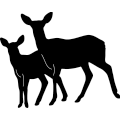 (image for) Deer Pair 300 ~