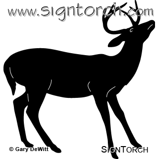 (image for) Whitetail Deer 154 ~