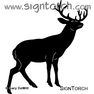 (image for) Whitetail Deer 155 ~