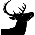 (image for) Whitetail Deer 158 ~