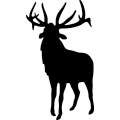 (image for) Bull Elk 160 =
