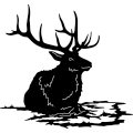 (image for) Bull Elk 211 ~