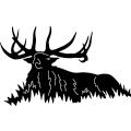 (image for) Bull Elk 213 ~