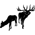 (image for) Elk Family 196 ~