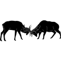 (image for) Elk Fighting 210 ~