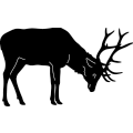 (image for) Elk Fighting 218 ~