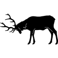 (image for) Elk Fighting 219 ~