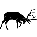 (image for) Elk Fighting 222 ~