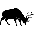 (image for) Elk Fighting 224 ~