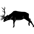 (image for) Elk Fighting 225 ~