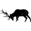 (image for) Elk Fighting 227 ~