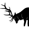 (image for) Elk Head 204 ~