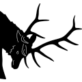 (image for) Elk Head 205 ~