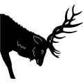 (image for) Elk Head 207 ~