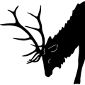 (image for) Elk Head 208 ~