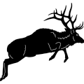 (image for) Elk Jumping 212 ~