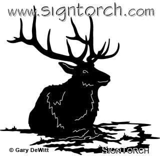 (image for) Bull Elk 211 ~