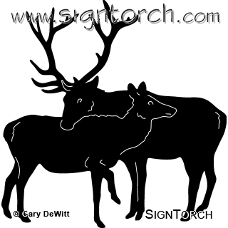 (image for) Elk Couple 438 ~