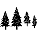 (image for) Pine Trees 354 ~