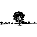 (image for) Tree Scene 062 ~
