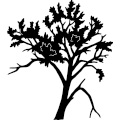 (image for) Cottonwood Tree 276 ~