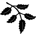 (image for) Leaf Design 129 ~