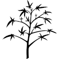(image for) Marijuana Plant _