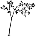 (image for) Plantlife 191 =