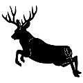 (image for) Deer