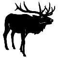 (image for) Elk