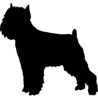 (image for) Brussels Griffon 2 _