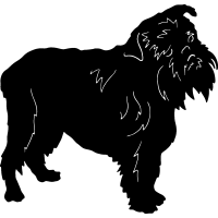 (image for) Brussels Griffon =