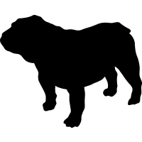 (image for) Bulldog 2 _