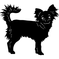 (image for) Chihuahua 2 =