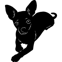 (image for) Chihuahua 6 =