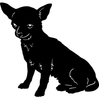 (image for) Chihuahua 7 =