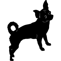 (image for) Chihuahua 8 =