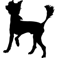 (image for) Chinese Crested 3 _