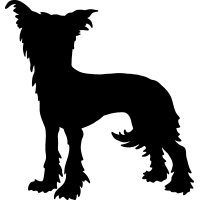 (image for) Chinese Crested 5 _