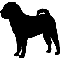 (image for) Chinese Shar Pei =