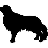 (image for) English Toy Spaniel =