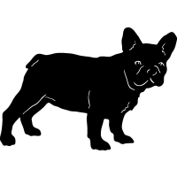 (image for) French Bulldog 2 =