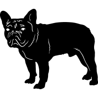 (image for) French Bulldog =